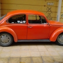 KARINCAM