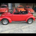The Best beetle